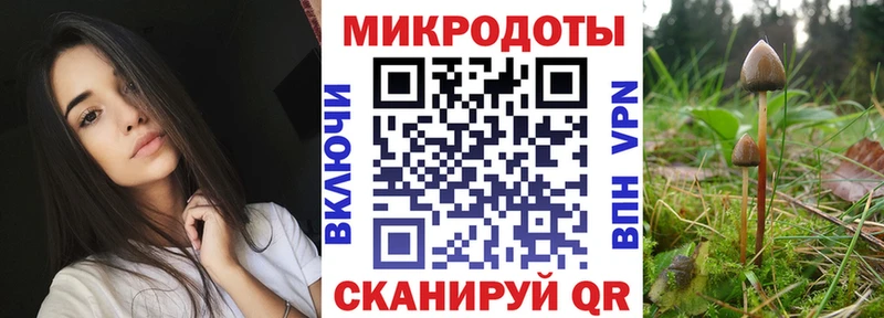 как найти   Курчатов  Псилоцибиновые грибы мухоморы 